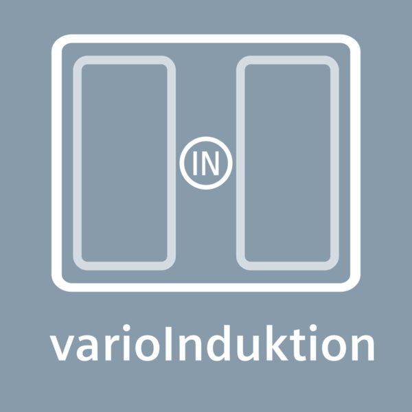 varioInduktion